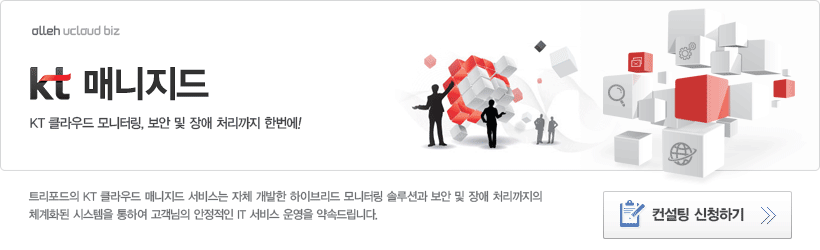 KT 매니지드