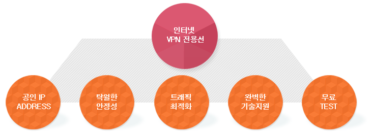 vpn전용선